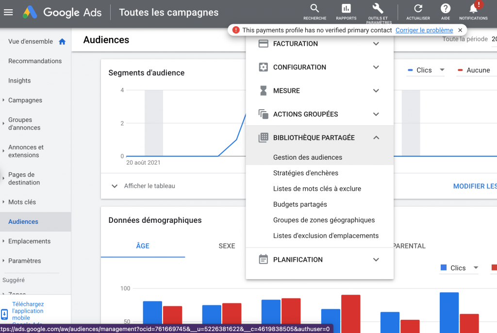 google_ads_gestion_des_audiences