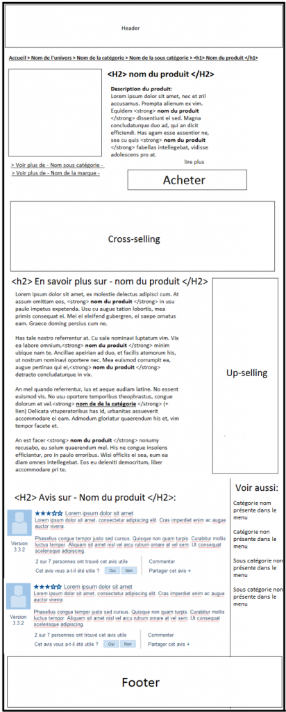 fiche-produit-optimisee-pour-referencement-naturel-seo