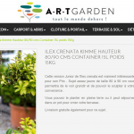 Analyse de la fiche produit (SEO & Ergonomie) du site Art Garden