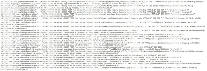 analyse-logs-google-brute