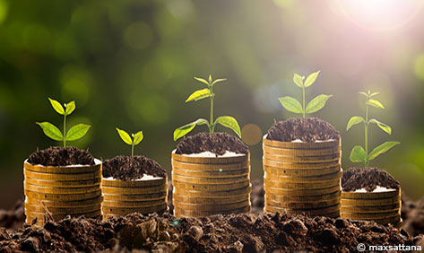 comment-devenir-frugaliste-quel-capital-frugalisme