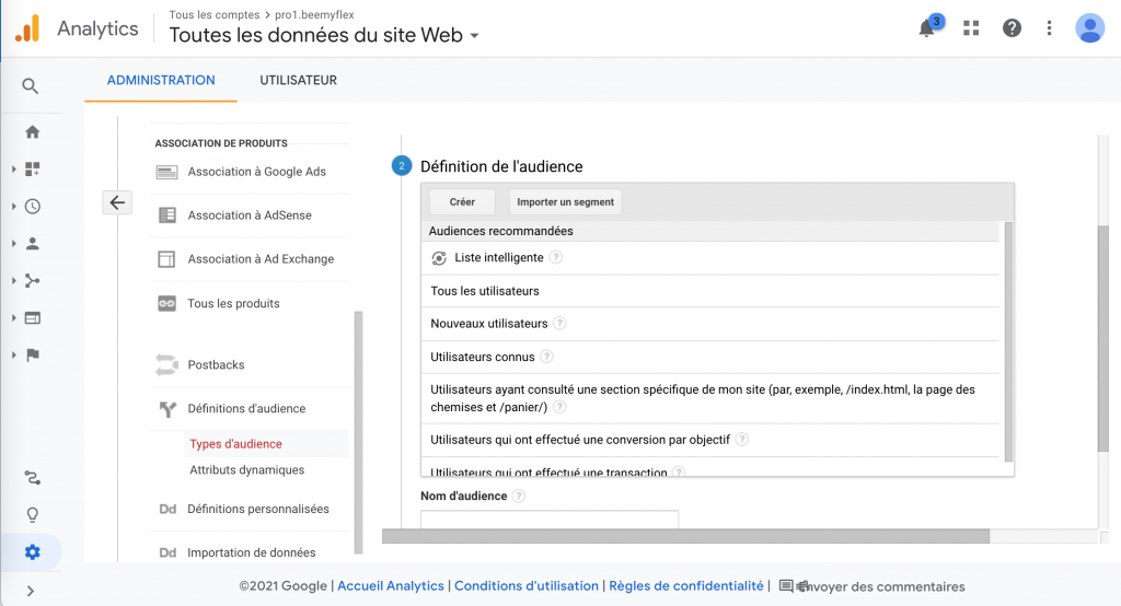 Types-daudience-Analytics