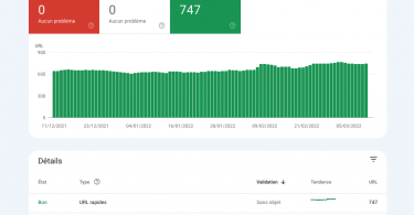 Analyse des URL avec Google Search Console