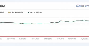 Analyse URL Google Search Console