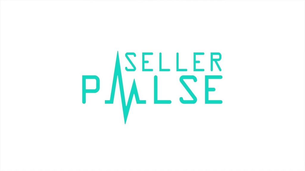 Seller Pulse, un outil pour trouver des produits dropshipping