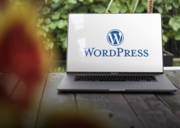 Limites de WordPress : 8 inconvénients à connaître absolument